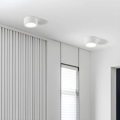 Noordse Stijl Eenvoudige Plafondlamp