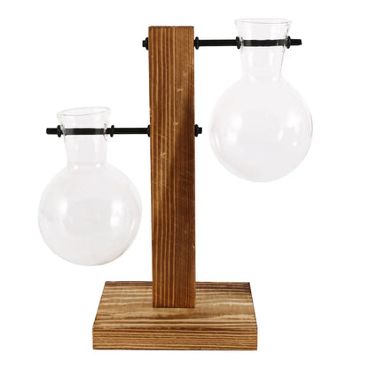 Glazen Paddenstoel/Bol Hydroponie Vaas met Houten Standaard