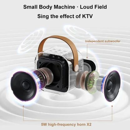 Draagbare Bluetooth Karaoke Machine met Draadloze Microfoons - Leuk Familie Zang Geschenk