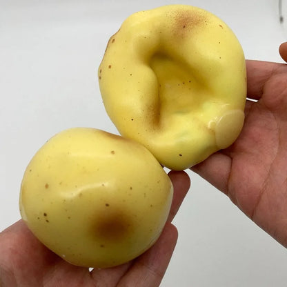 Realistische Aardappel Anti-Stress Bal Squishy - Rekbaar Fidget Speelgoed