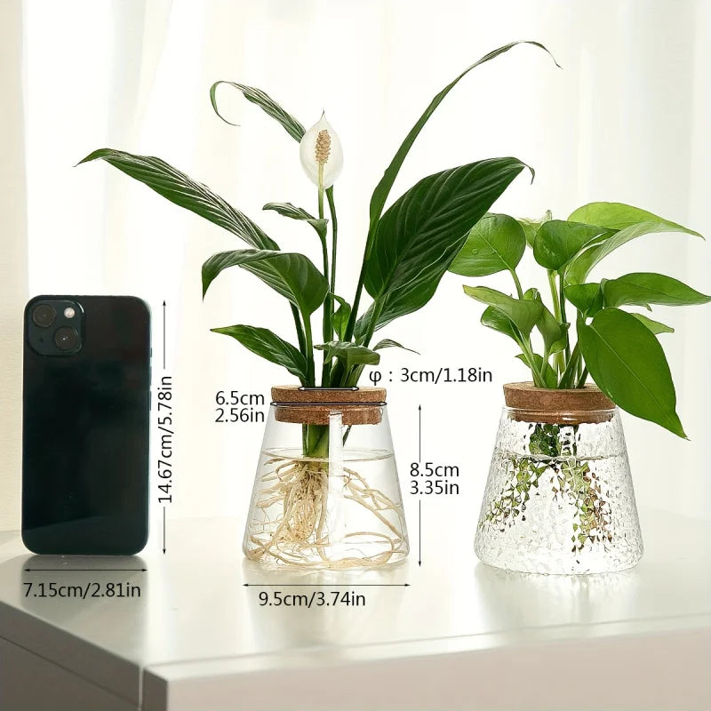 Glazen Hydroponie Plantenpot met Kurken Ring