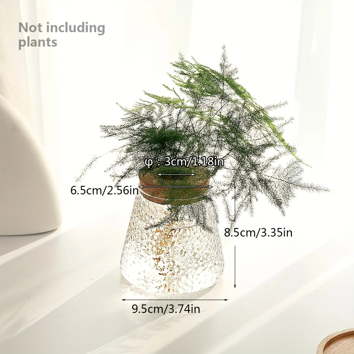 Glazen Hydroponie Plantenpot met Kurken Ring