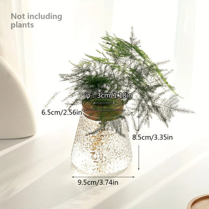 Glazen Hydroponie Plantenpot met Kurken Ring