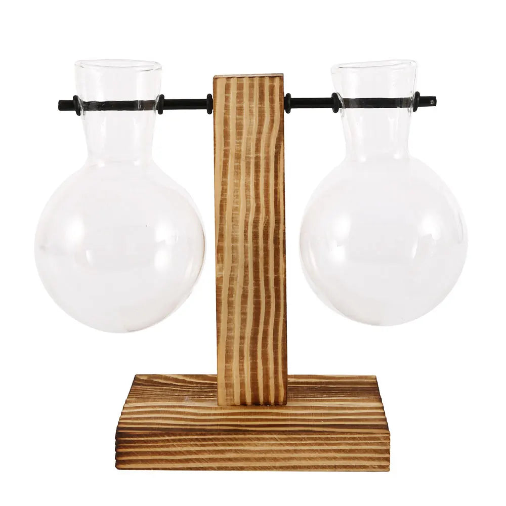 Glazen Paddenstoel/Bol Hydroponie Vaas met Houten Standaard