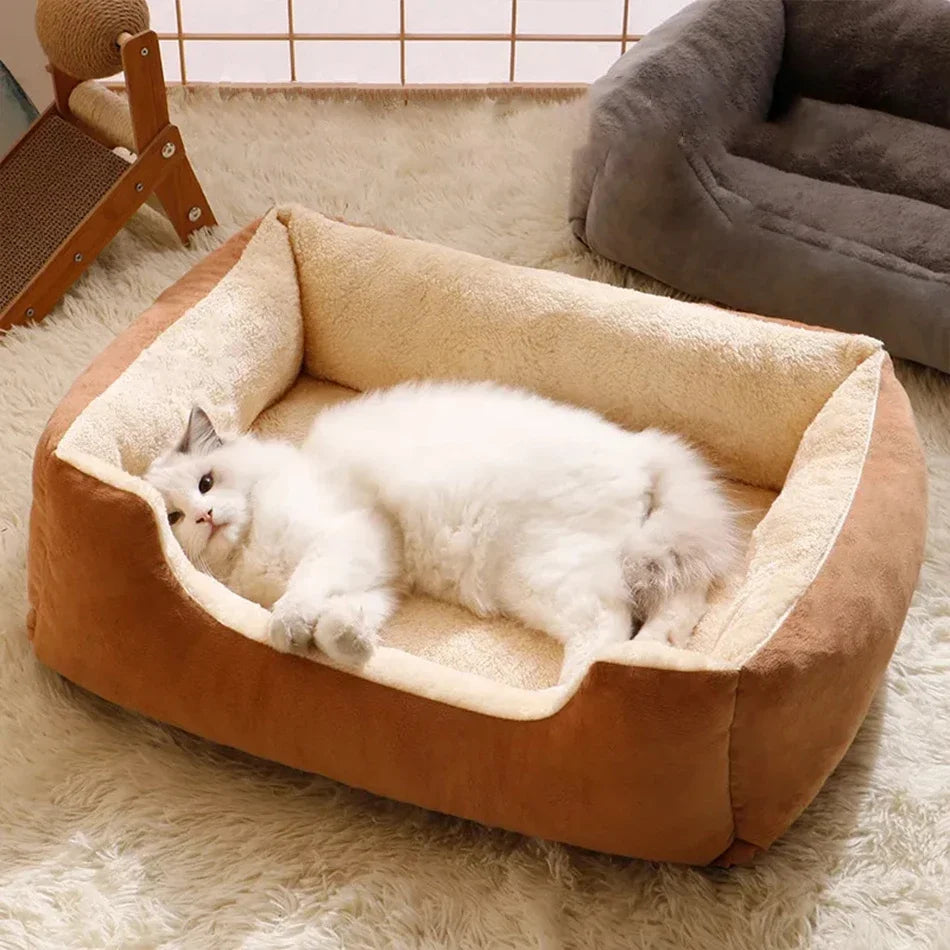 Zachte Pluche Kattenmand - Ademend Rechthoekig Kussen