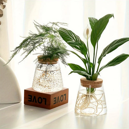 Glazen Hydroponie Plantenpot met Kurken Ring