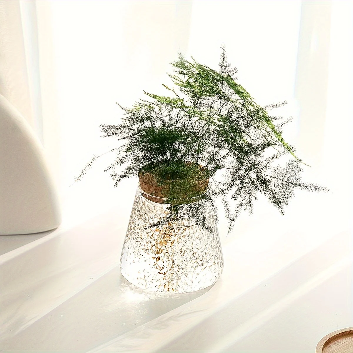 Glazen Hydroponie Plantenpot met Kurken Ring