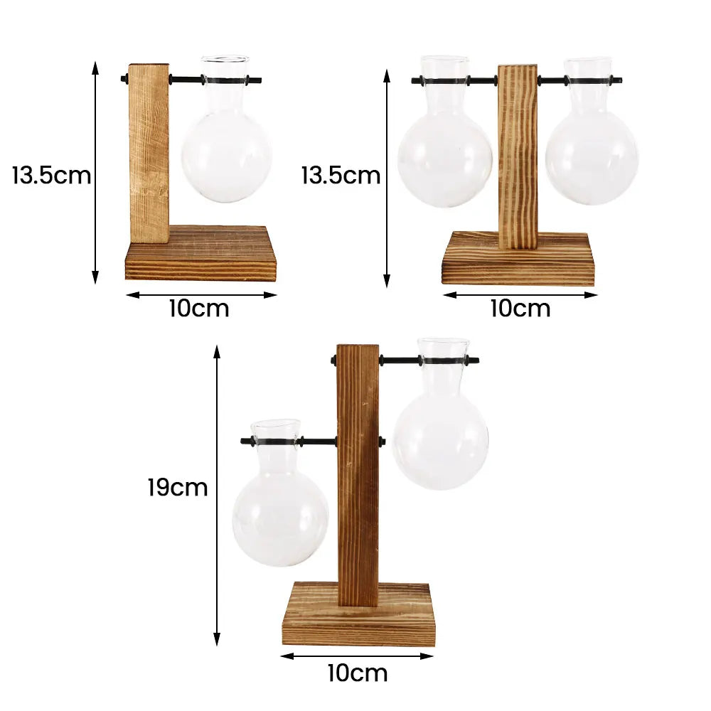 Glazen Paddenstoel/Bol Hydroponie Vaas met Houten Standaard