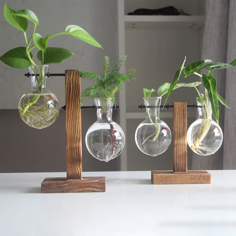 Glazen Paddenstoel/Bol Hydroponie Vaas met Houten Standaard