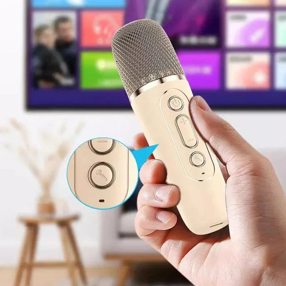 Draagbare Bluetooth Karaoke Machine met Draadloze Microfoons - Leuk Familie Zang Geschenk