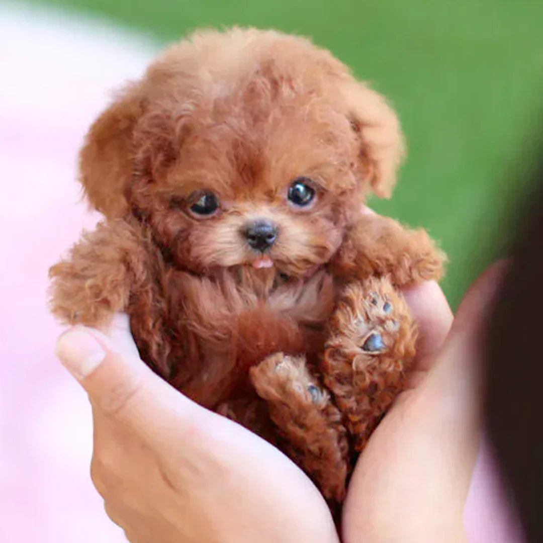 Ultrarealistische Robotpuppy – Interactieve Knuffelvriend voor Jong en Oud