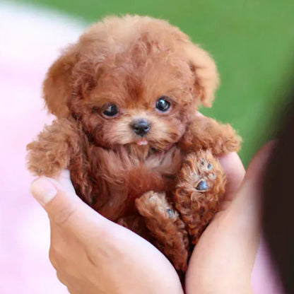 Ultrarealistische Robotpuppy – Interactieve Knuffelvriend voor Jong en Oud