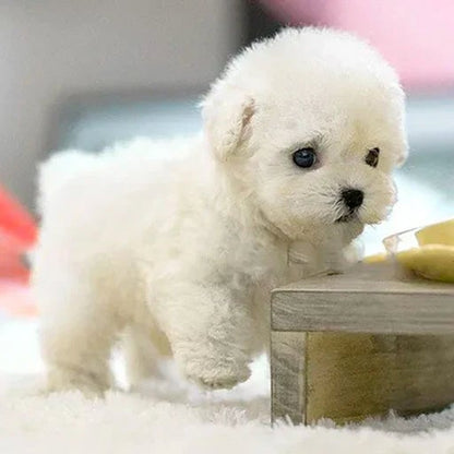 Ultrarealistische Robotpuppy – Interactieve Knuffelvriend voor Jong en Oud