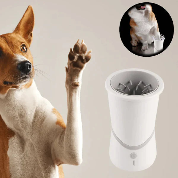 PawCare Pro