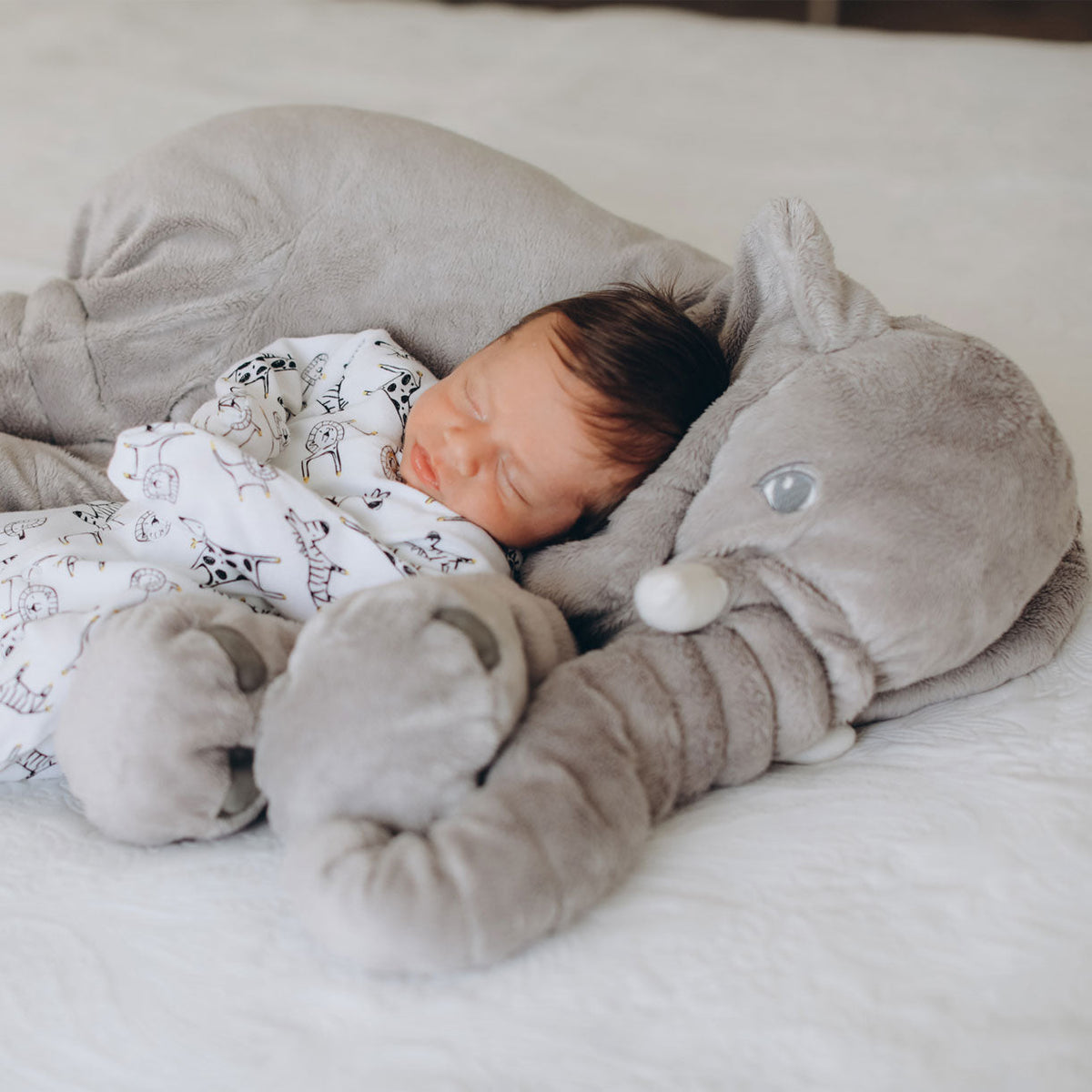 Knuffelphant