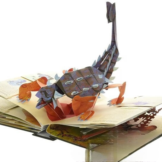 PrehistoPeek 3D-Boek