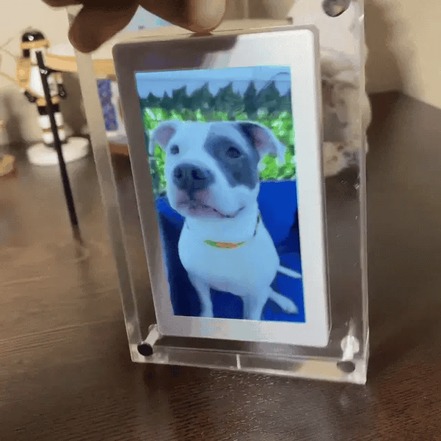 Digitale Fotolijst