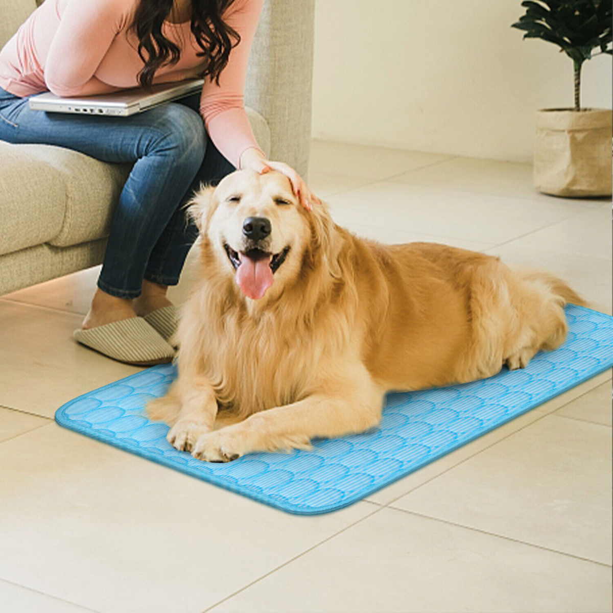 CoolPaws Mat