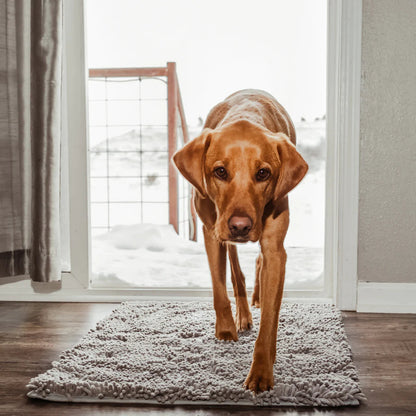 Paws-Free CleanMat