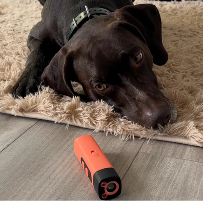 Ultrasone Blaffcontrole