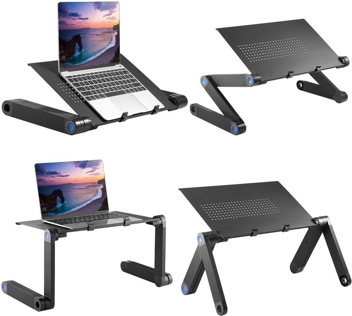 ErgoDesk Pro
