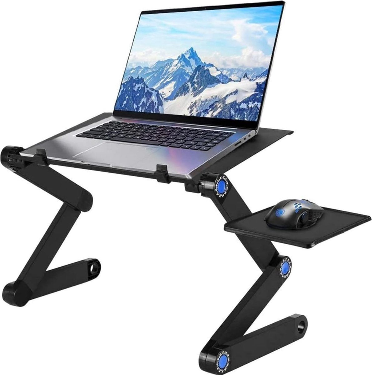 ErgoDesk Pro