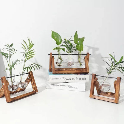 Glazen Propagatievaas met A-Frame Houten Stand