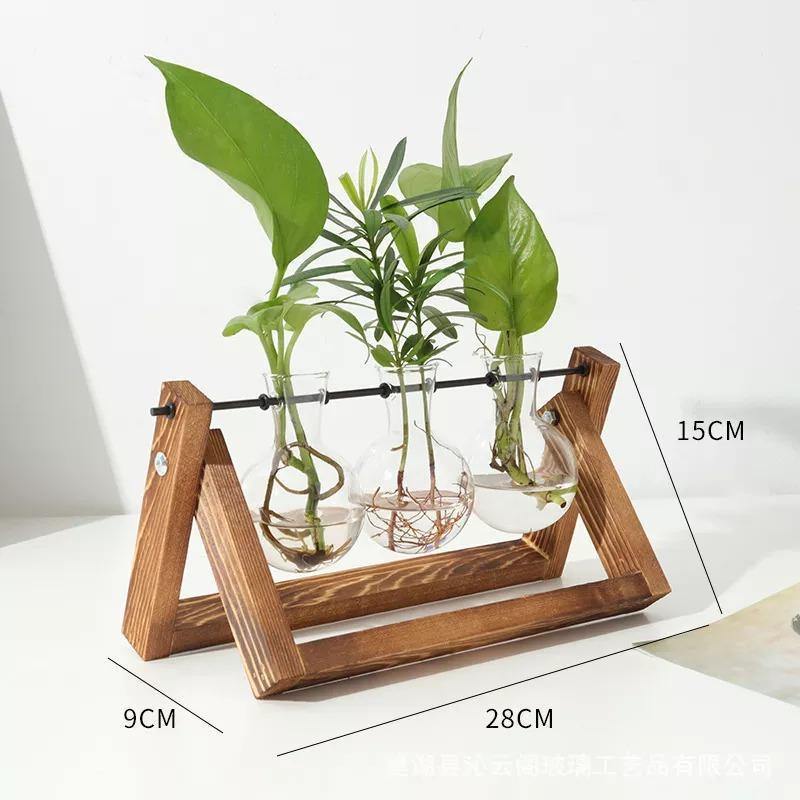 Glazen Propagatievaas met A-Frame Houten Stand