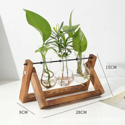 Glazen Propagatievaas met A-Frame Houten Stand