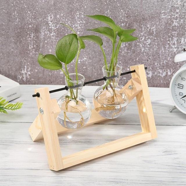 Glazen Propagatievaas met A-Frame Houten Stand