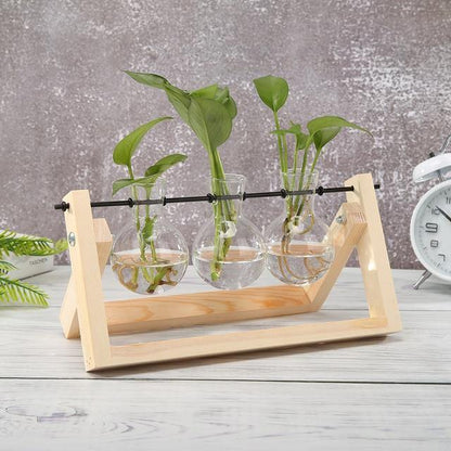 Glazen Propagatievaas met A-Frame Houten Stand