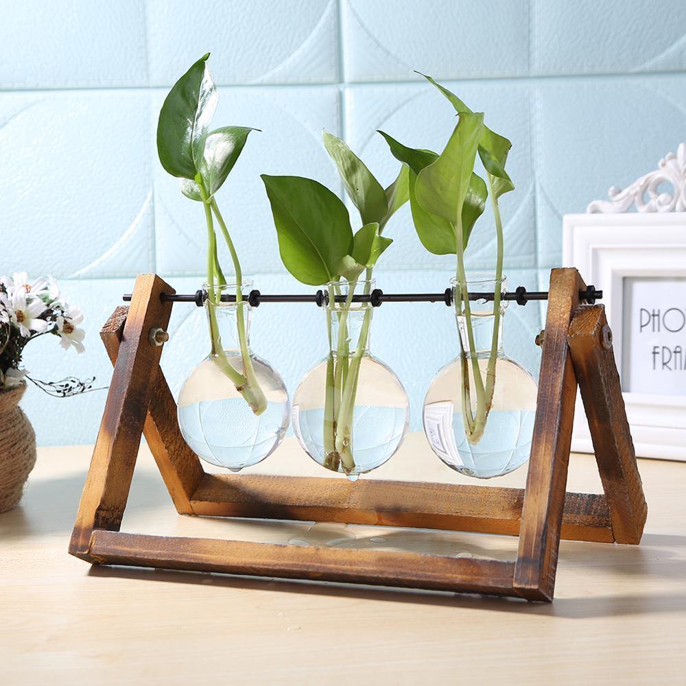 Glazen Propagatievaas met A-Frame Houten Stand