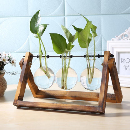 Glazen Propagatievaas met A-Frame Houten Stand