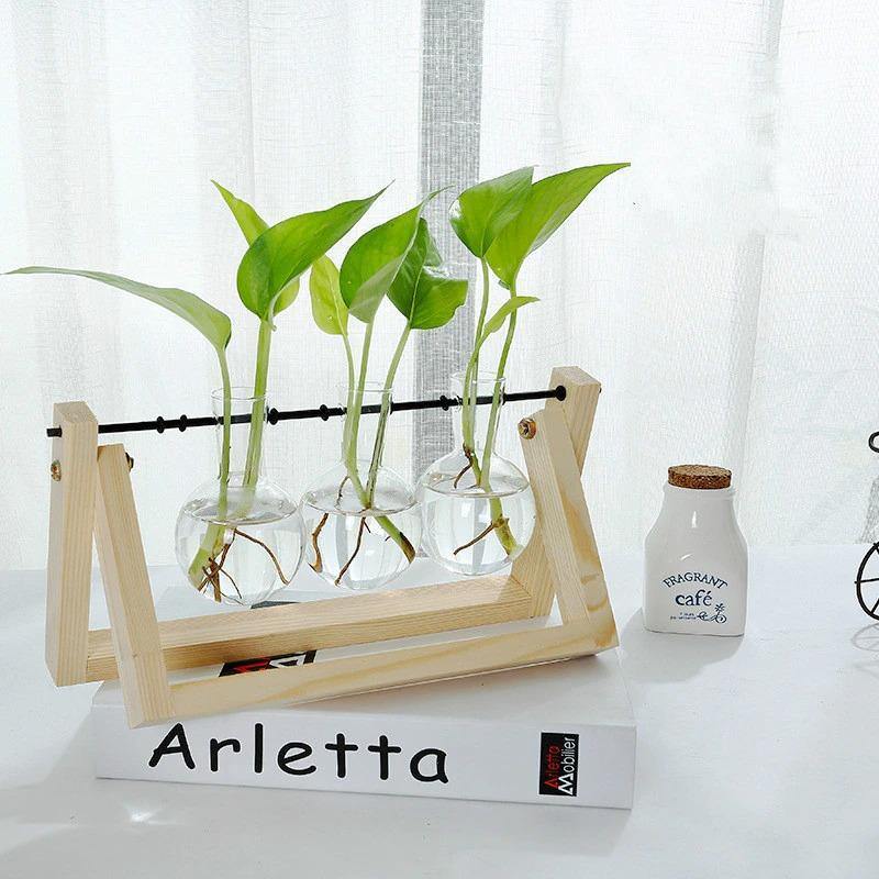 Glazen Propagatievaas met A-Frame Houten Stand