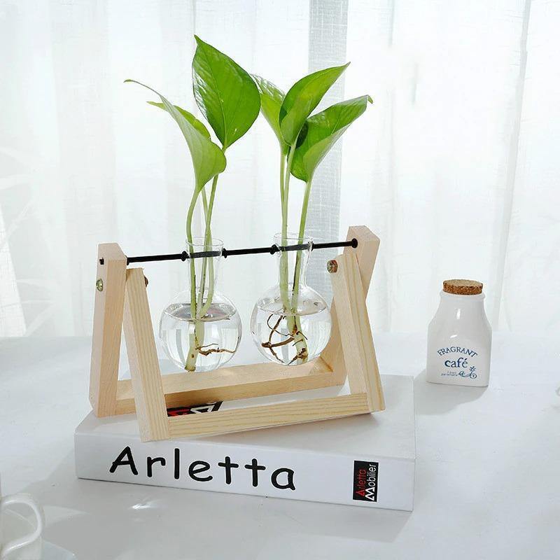 Glazen Propagatievaas met A-Frame Houten Stand