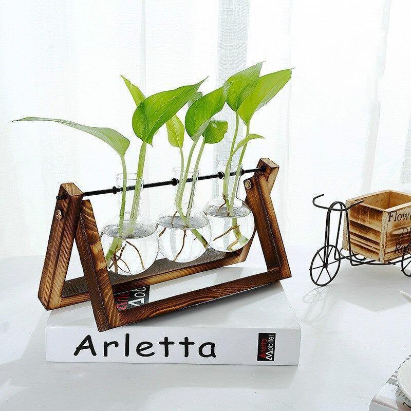 Glazen Propagatievaas met A-Frame Houten Stand