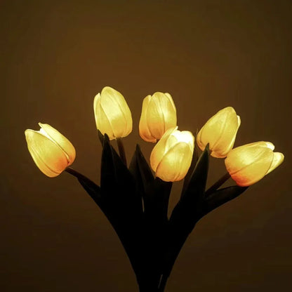 Tulpen Nachtlampje
